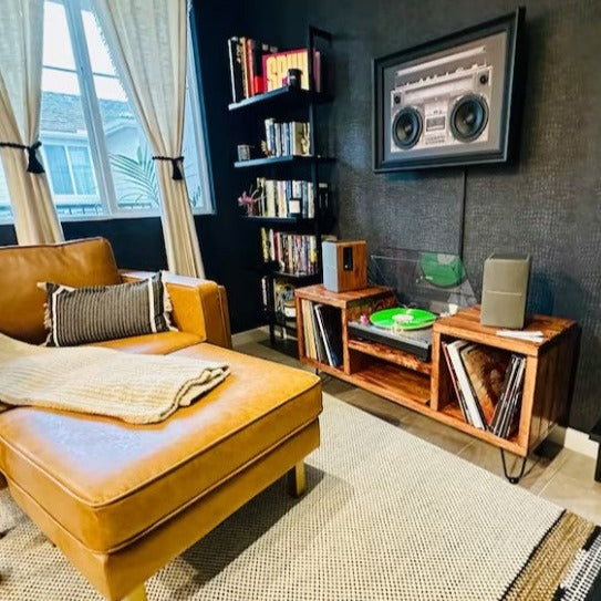 DropSet Vinyl Record Storage
