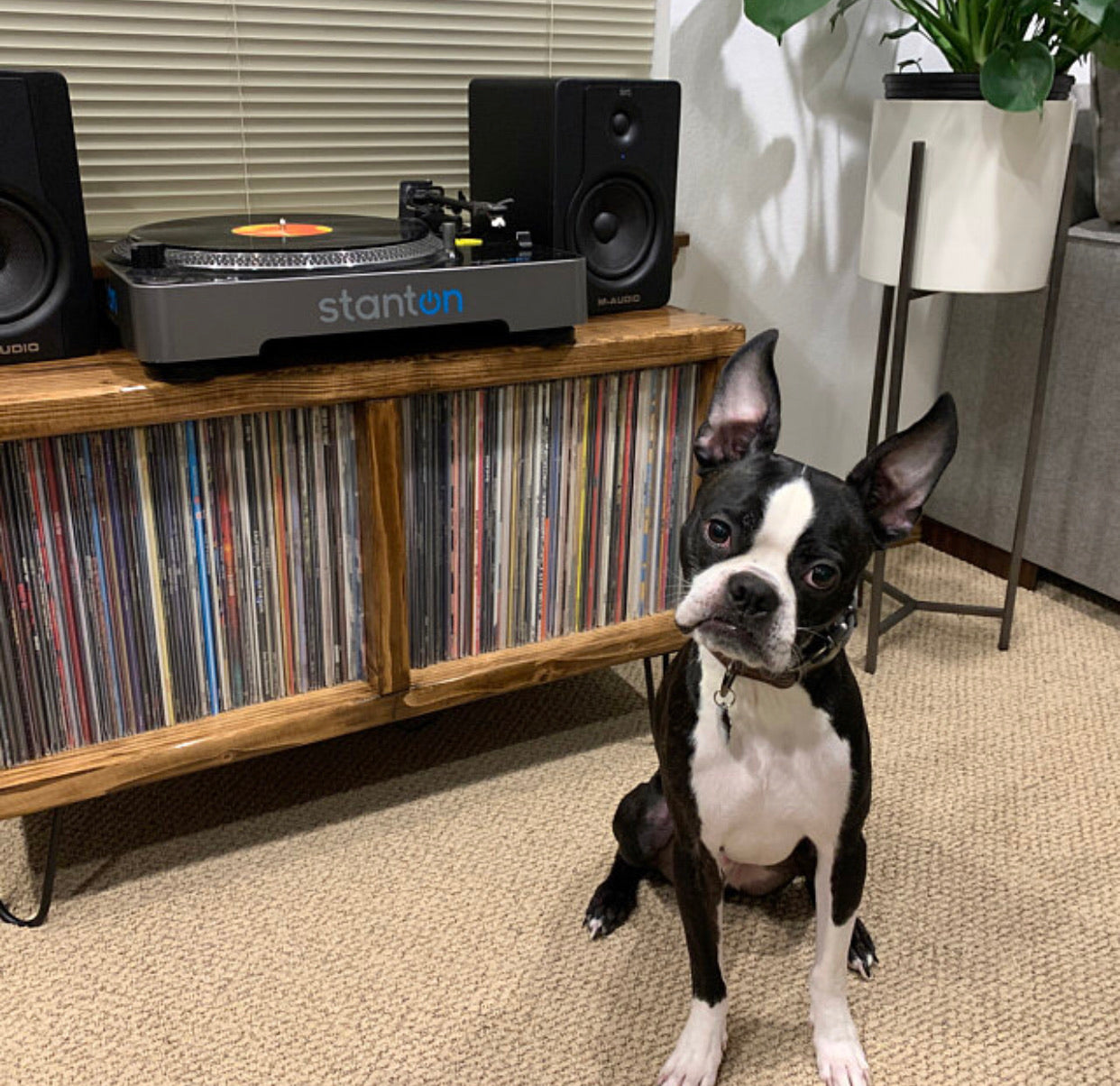 2Sec Vinyl Record Storage