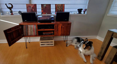 Vertically Adjustable Shelf