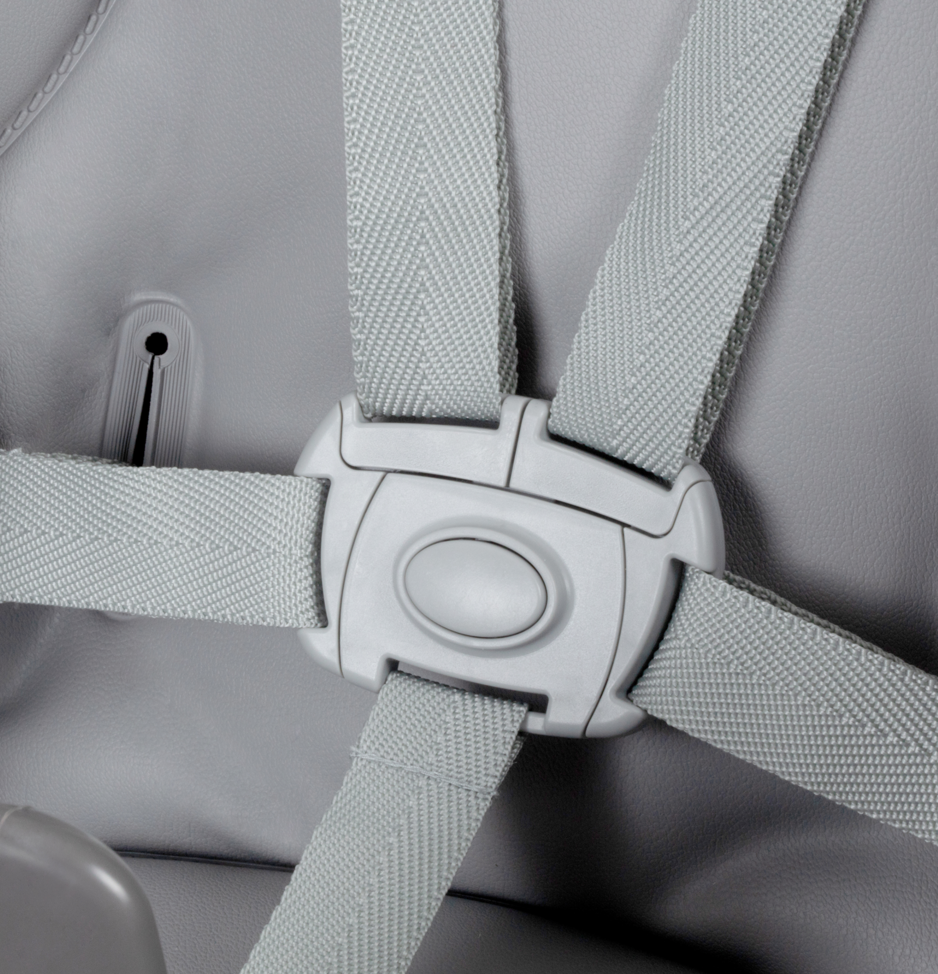 Buffet Highchair Harness