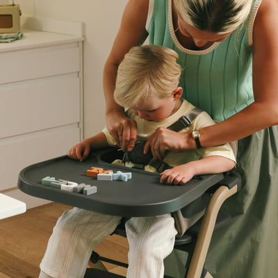 Nest & Nurture Highchair Biscuit