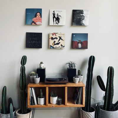 3Sec Vinyl Record Storage