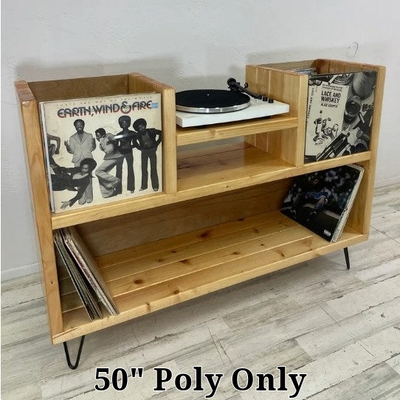 Showcase Vinyl Record Storage