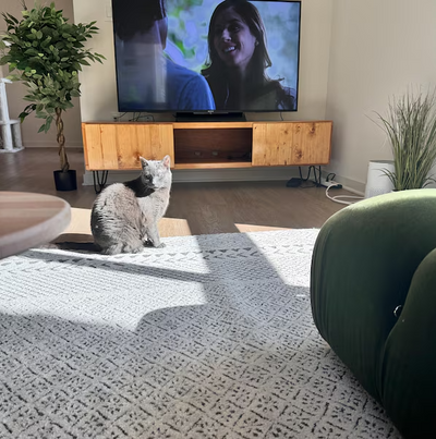 Handcrafted Wood TV Stand with Soft-Close Doors
