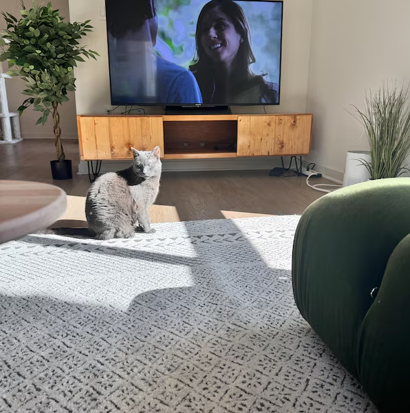 Handcrafted Wood TV Stand with Soft-Close Doors