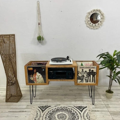 Flip-Thru Vinyl Record Storage