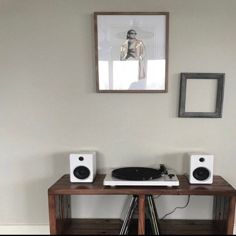 2Sec Vinyl Record Storage