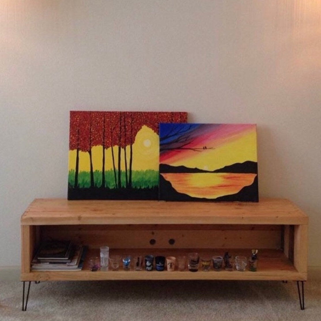 Handcrafted Wood TV Stand & Entertainment Center with DVD Storage