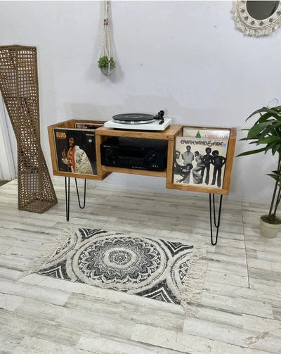 Flip-Thru Vinyl Record Storage